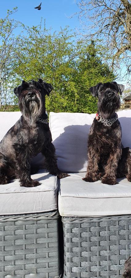 איירדריי The Sleeping Dog Room At The Grumpy Schnauzer Bnb Huge Room, Luxe Suite, Private Hot Tub, Breakfast, Gym, Games Room, Farm Stay, Amazing מראה חיצוני תמונה